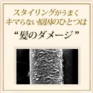 スタイリングがうまくキマらない原因のひとつは、髪のダメージ。