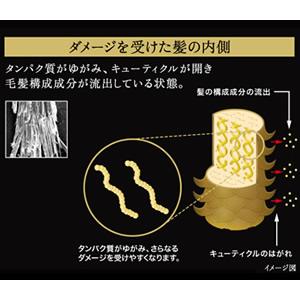 傷んだ髪の根本原因に着目。それは、タンパク質のゆがみでした。