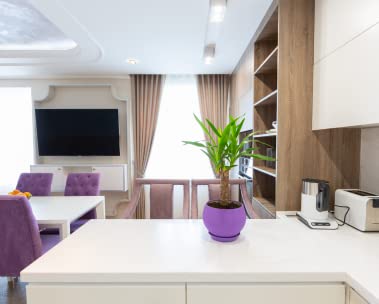 Shop deals in Home & Kitchen