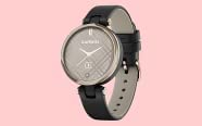 Garmin Lily Smartwatch