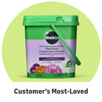 Customer's Most-Loved
