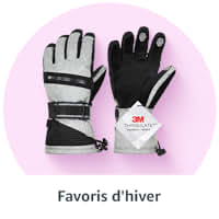 Favoris d'hiver