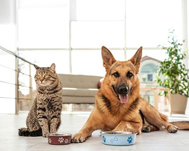 25% off pet subscription