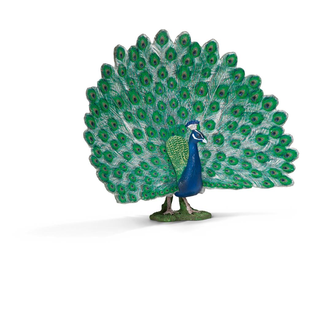 Schleich Peacock Toy Figure, Figures Amazon Canada