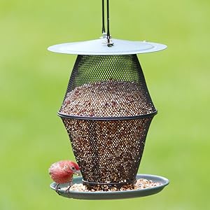 Perky Pet No No Mgncd00352 Mixed Seed Lantern Wild Bird Feeder