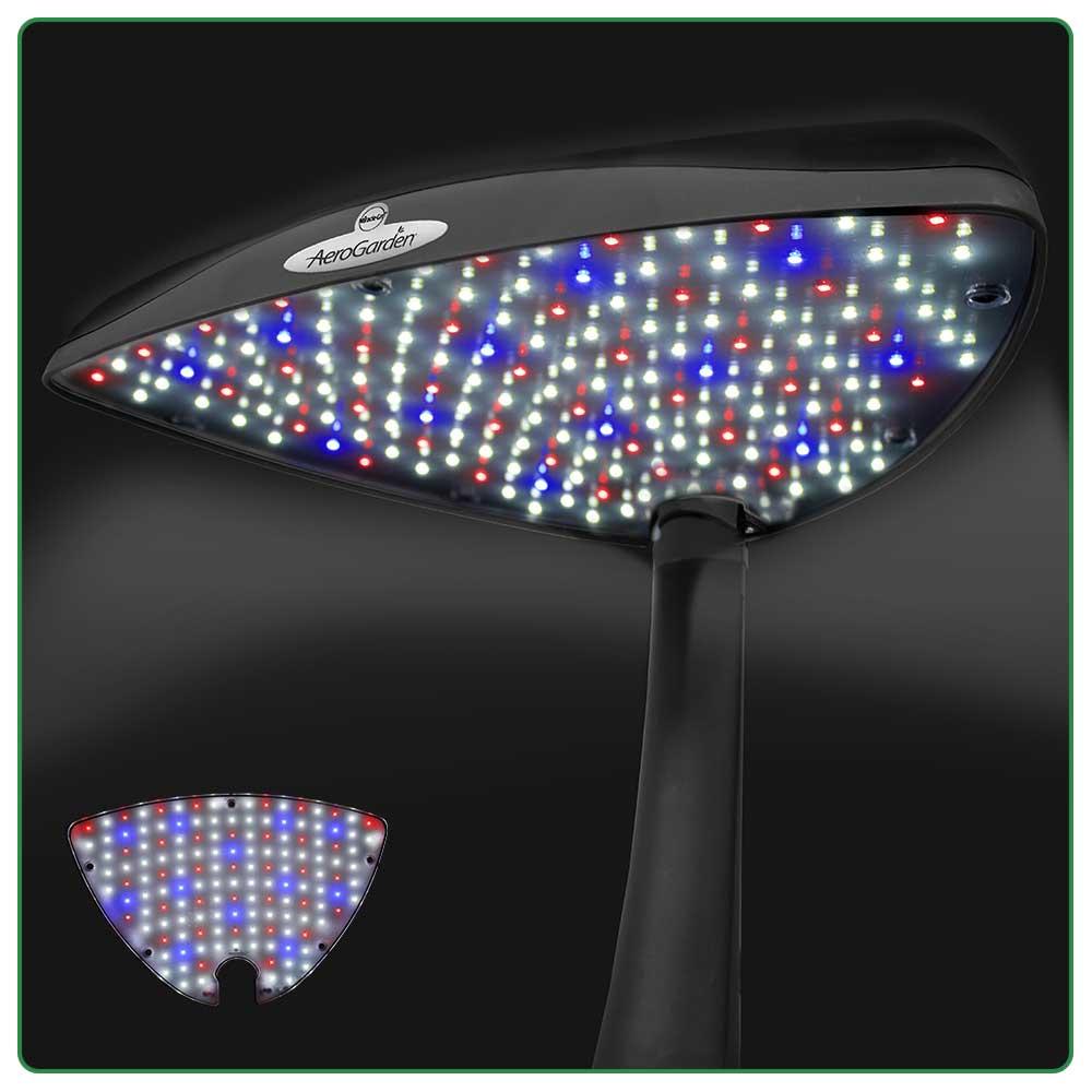 25aaf084 77b9 4792 aa93 2e8b4a186773