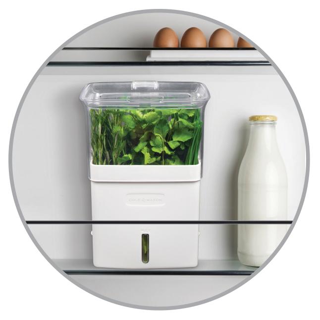 COLE & MASON Fresh Herb Keeper, Container, Clear Amazon.ca Home & Kitchen