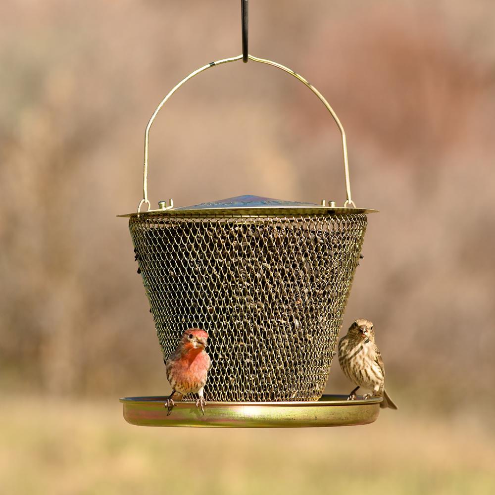 кормушка для птиц уличная. кормушку закрыли. самодельные фидерные кормушки. кормушка feeder sport. кормушка emsa для птиц landhaus 14x21 см с диспенсером.