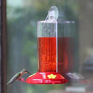 Perky Pet 8 Ounce Window Mount Hummingbird Feeder 217 Amazon Ca