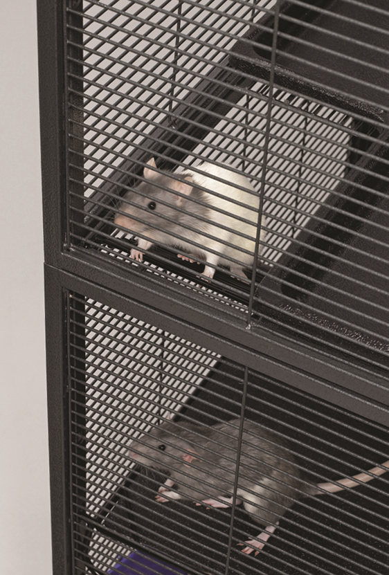 MidWest Deluxe Critter Nation Double Unit Small Animal Cage (Model 162) Includes 2 leakProof