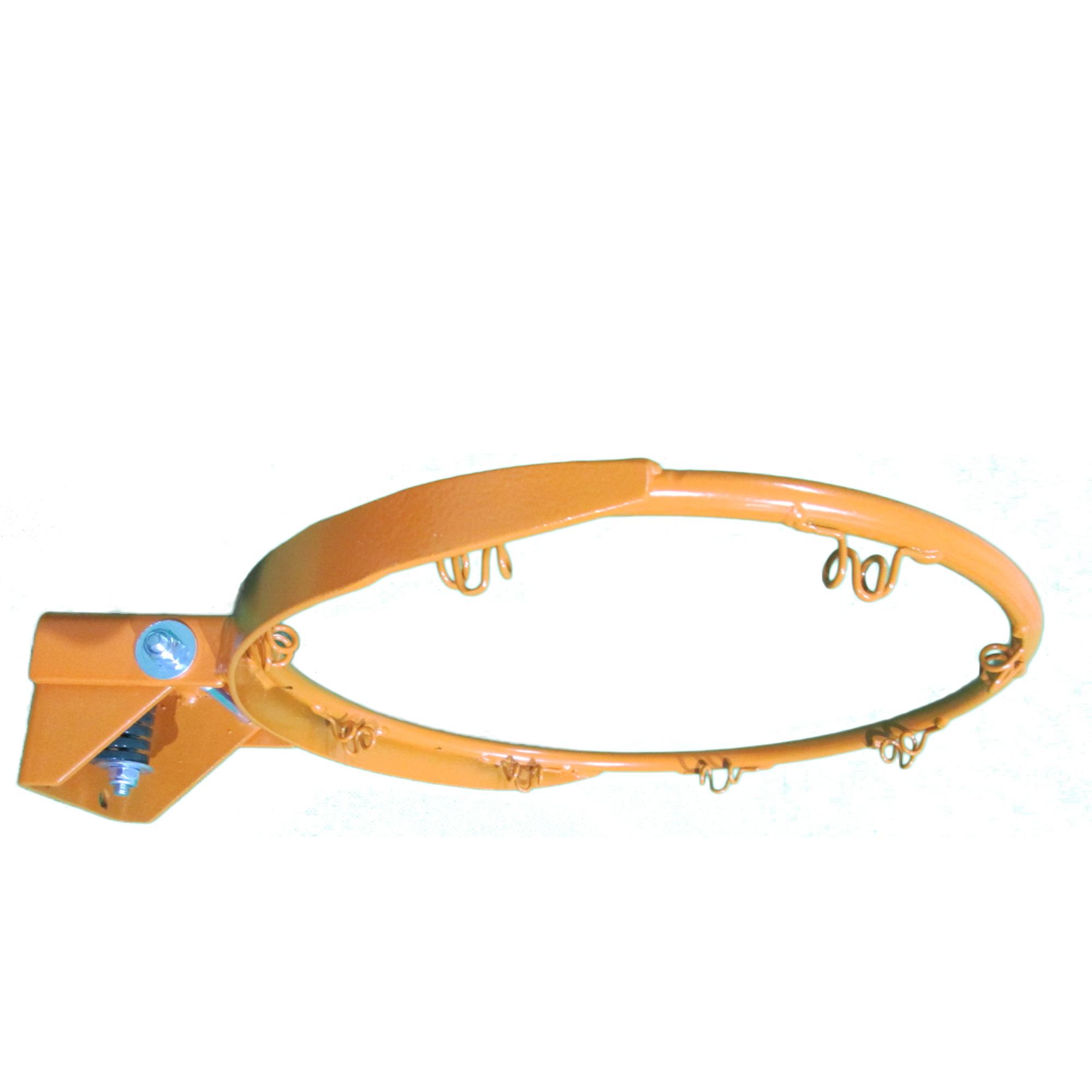 Tekk Nate Robinson Monster Jam Mini Hoop, 12 x 18Inch Amazon.ca