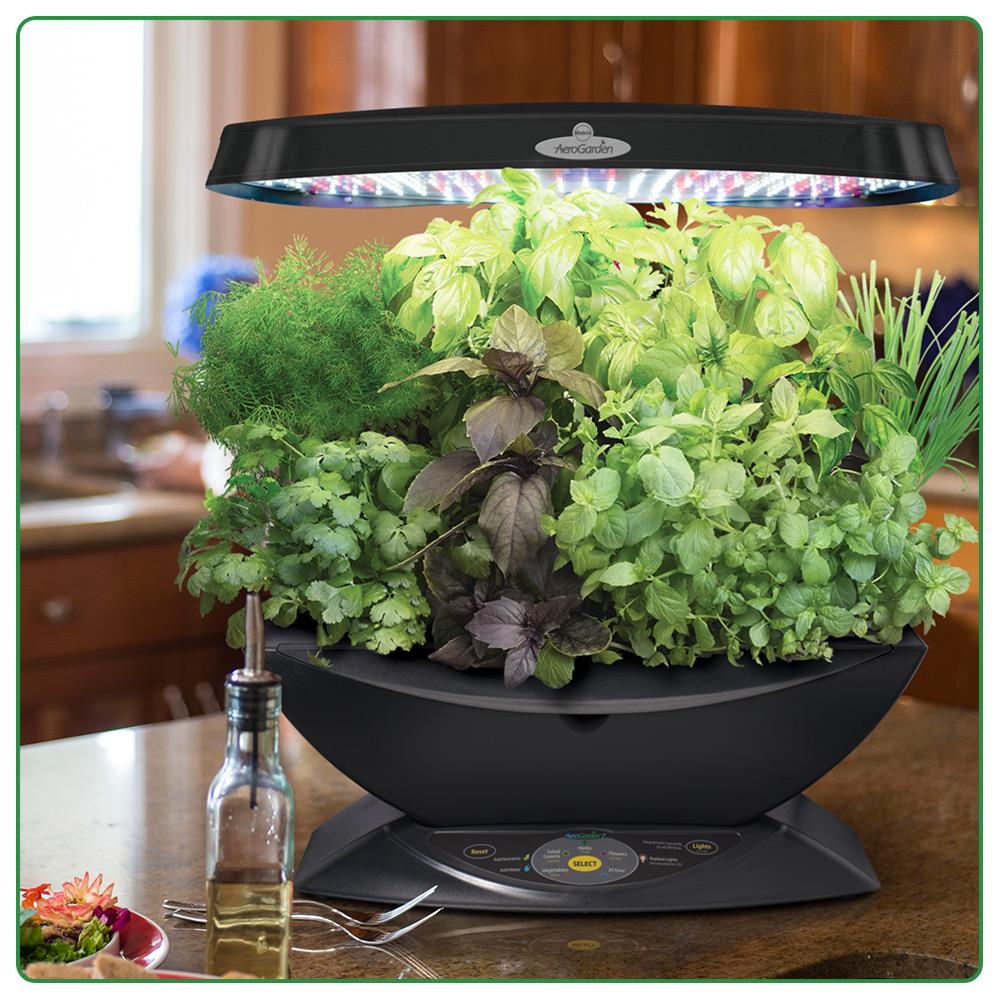 AeroGarden 7 LED Indoor Garden with Gourmet Herb Seed Pod Kit Amazon