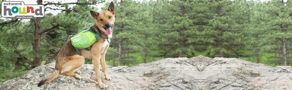 outward hound daypak