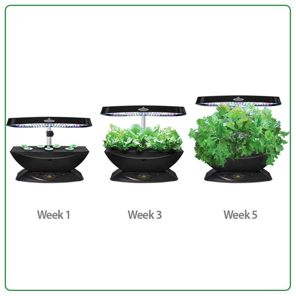 AeroGarden 7 LED Indoor Garden with Gourmet Herb Seed Pod Kit Amazon