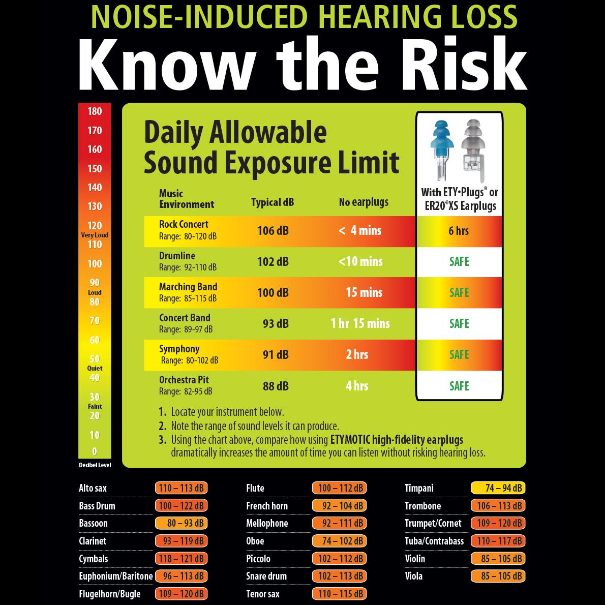 Etymotic Research ER20 HighFidelity Earplugs, Blue Tip with Clear Stem