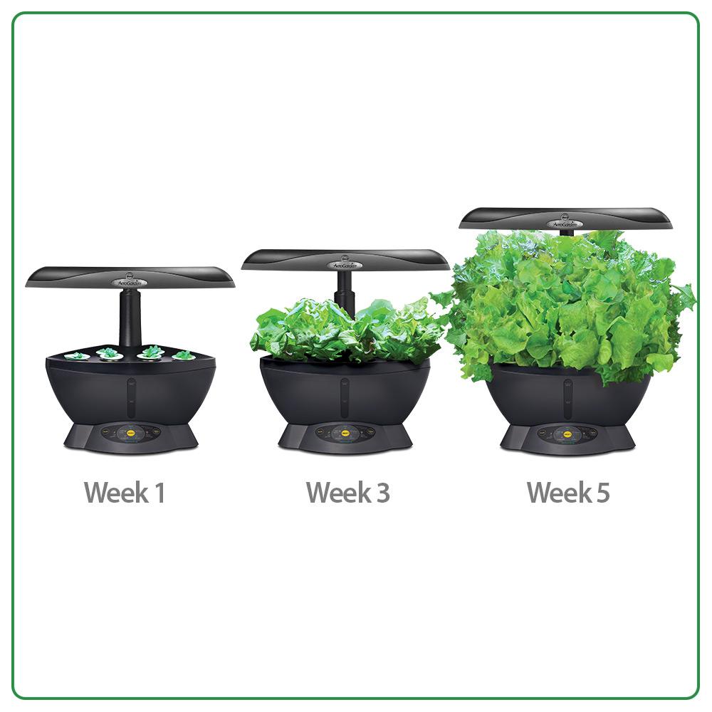 AeroGarden Classic 6 with Gourmet Herb Seed Pod Kit Amazon.ca Patio, Lawn & Garden