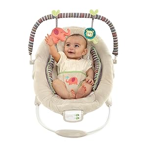 Comfort Harmony And Bouncer Cozy Kingdom Amazon Ca Baby