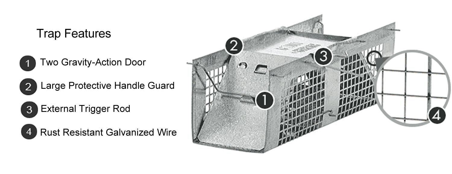 Havahart 1020 Live Animal 2Door Mouse Cage Trap Amazon.ca Patio, Lawn & Garden
