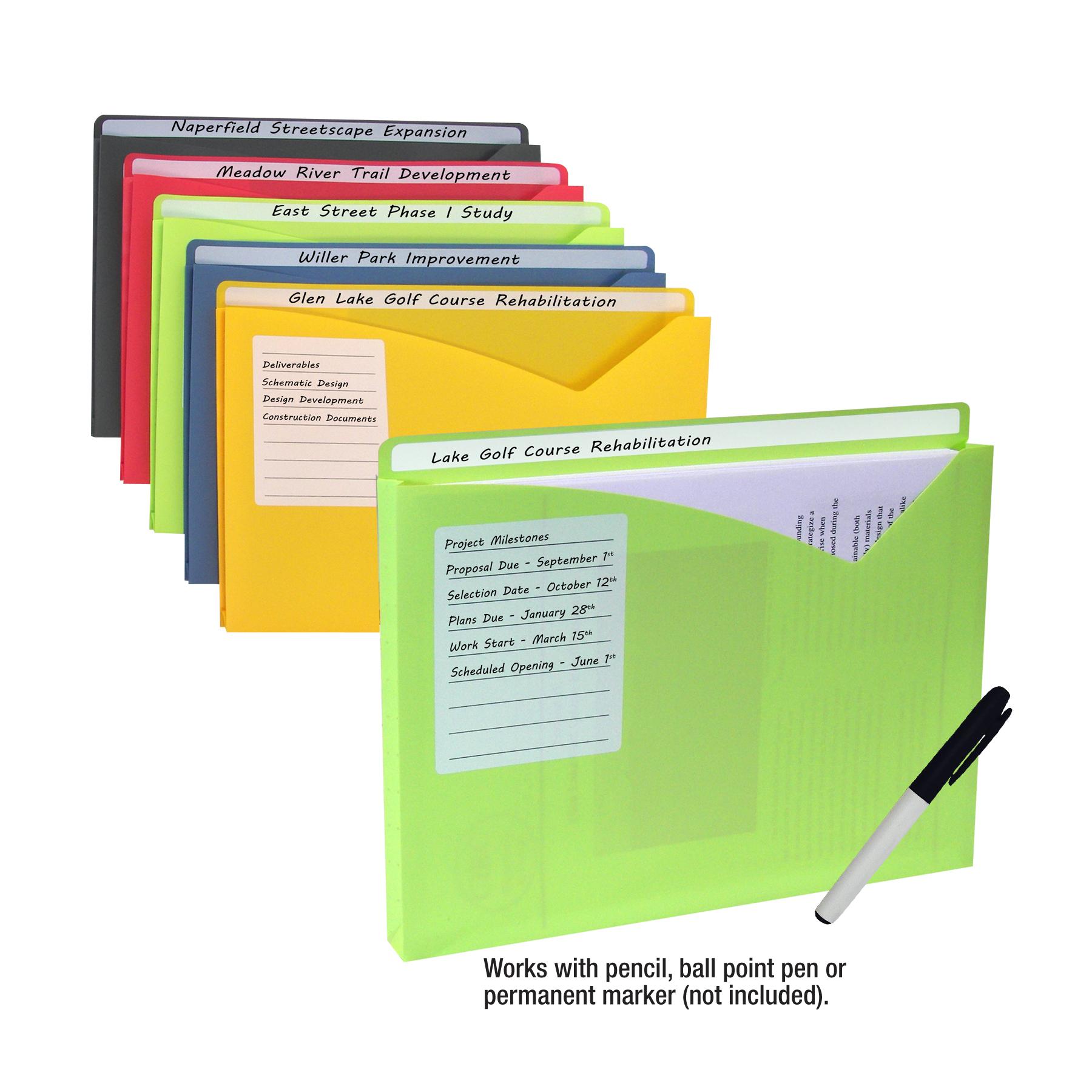 CLine MultiSection Project Folders, Clear with Assorted Color