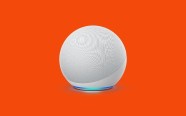 Echo smart speakers