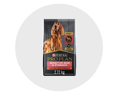 Pet Supplies