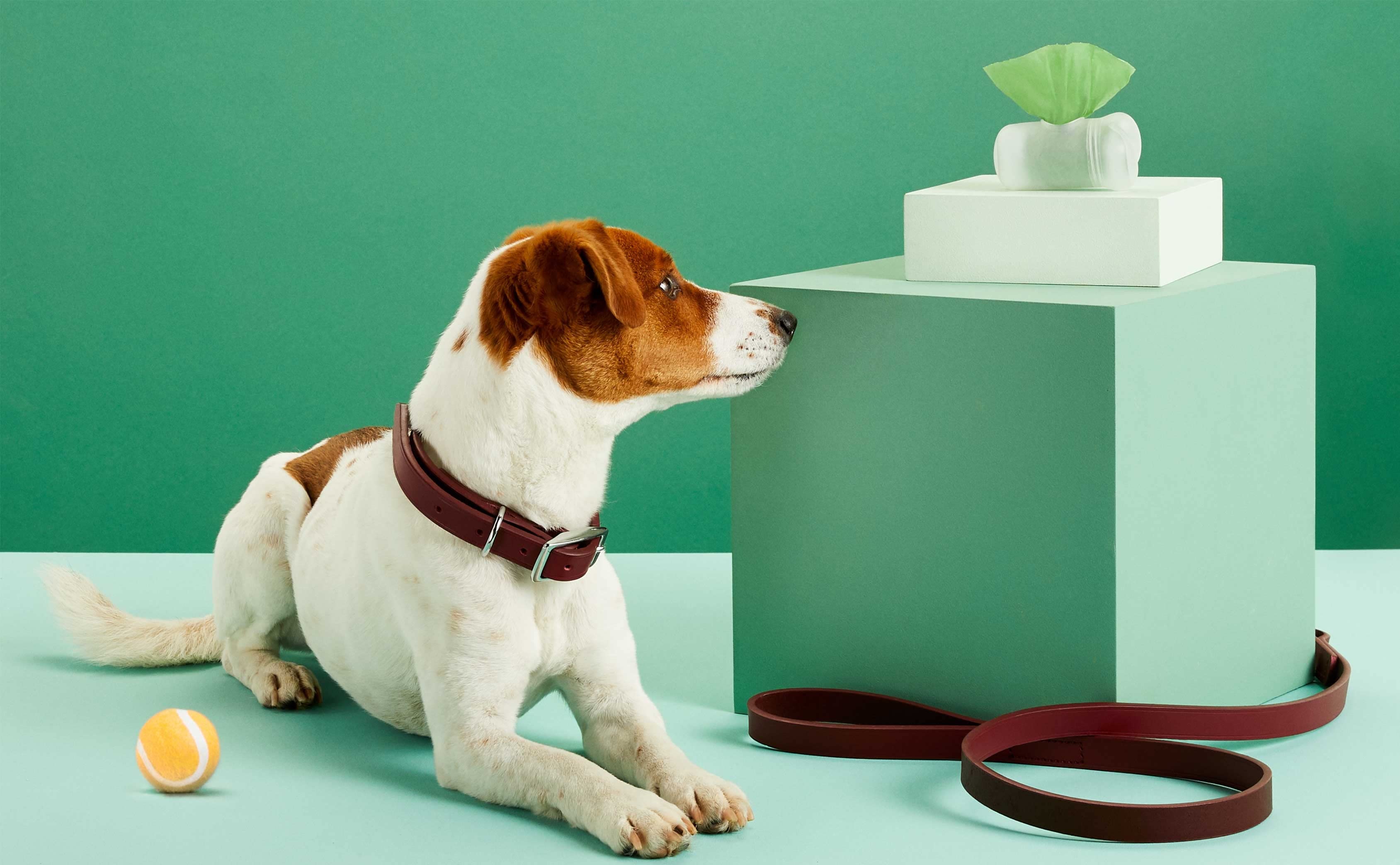 Explore Purina Pro Plan