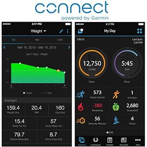 Garmin Index Smart Bilancia Impedenziometrica Bluetooth e Wi-Fi, app Garmin  Connect, Nero Unisex Adulto : Amazon.it: Salute e cura della persona