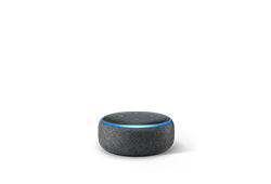 Echo Dot