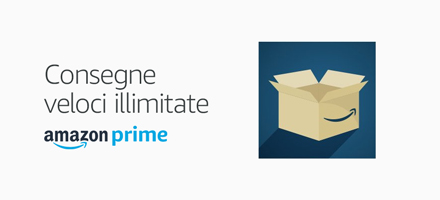 Consegne illimitate in 1 giorno