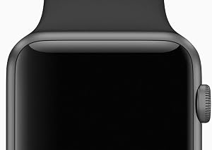 Apple Watch Sport - Smartwatch (42 mm, Bluetooth 4.0, Ion-X, WiFi), color  negro, PRIMERA GENERACIÓN : Amazon.es: Electrónica