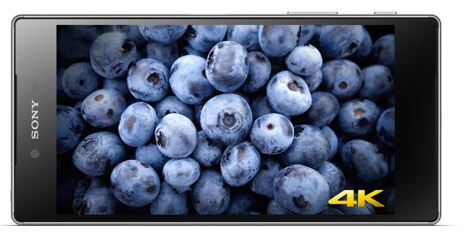 Insert Alt Text here