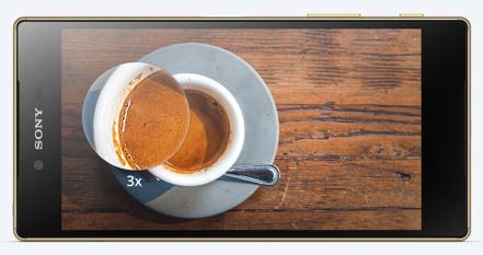 Insert Alt Text here