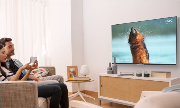 Insert Alt Text here