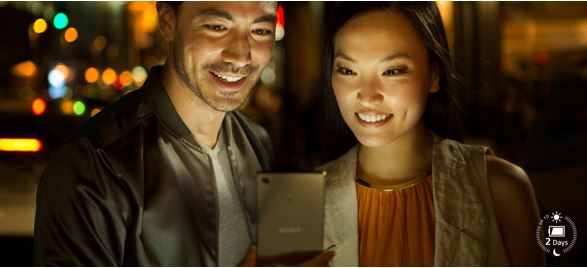 Insert Alt Text here