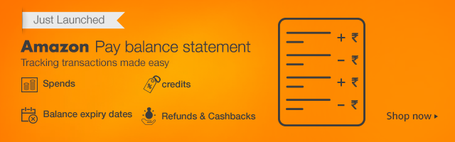 Amazon Pay balance Statement