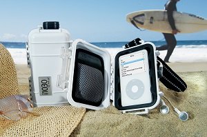 Insert Alt Text here