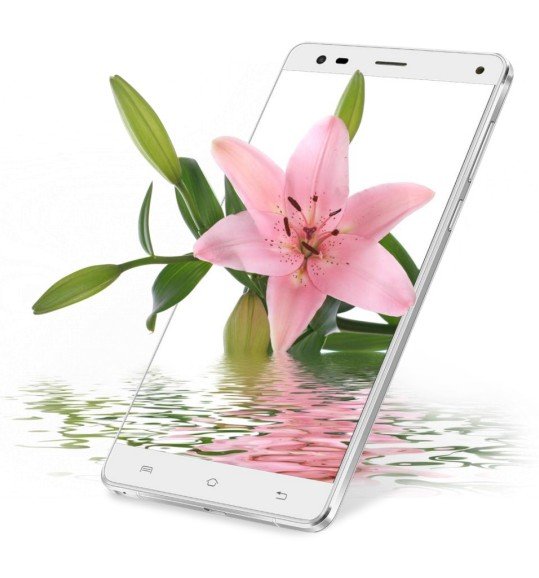 Insert Alt Text here