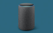 Echo