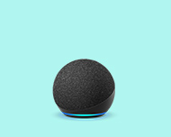 Novo Echo Dot