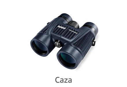 Caza