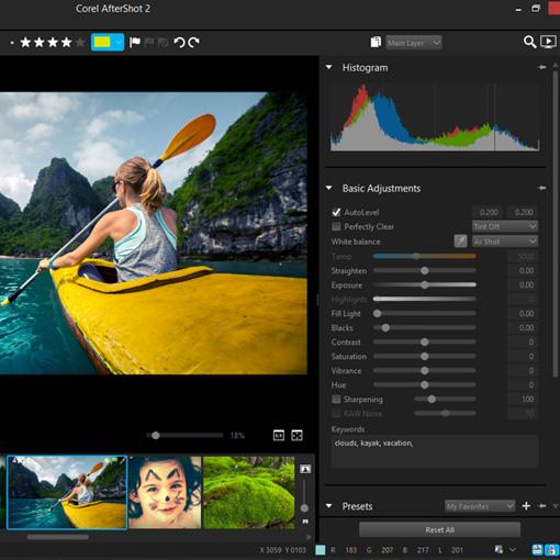 Corel Pro X8 Ultimate Software