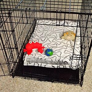 pet