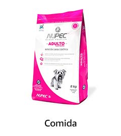 amazon articulos para perros