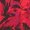 Jockey Women's Underwear No Panty Line Promise Tactel Lace Bikini, Etched Rose, 6