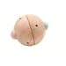 PlanToys Wooden Push Beeping Ball Toy