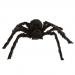 Bluesea Black Large Spider Halloween Decoration Haunted House Prop Indoor Outdoor