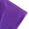 Aerial Silks Equipment for Acrobatic Flying Dance, Includes All Hardware, Fabric and Guide (Dark Purple)