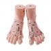 B Blesiya 19cm Human Feet Model - Massage Acupuncture Reflexology Acupoint Medicine Learnin Study Kit