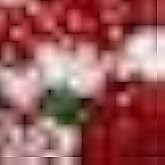 Tipsy Elves Classic Cute Cardigan Ugly Christmas Sweaters for Women with Fun Patterns and Animals - Women's Colorful Red Decked in Red Christmas Cardigan Size 2X