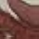 New Balance Men's U9060CCC Timber Wolf/Rich Oak – West NYC